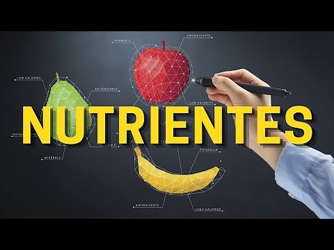 Ficha Técnica - Cálculo do Valor Calórico Total e das Gramas e Calorias dos Nutrientes (Rotulagem)