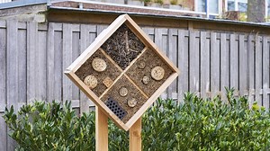 Les hôtels à insectes : une fausse bonne idée ? - RTBF Actus