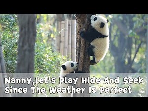 Nanny, Let's Play Hide And Seek Since The Weather Is Perfect | iPanda