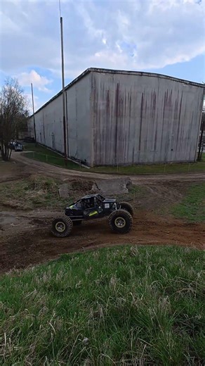 Speed ​​buggy in the forest