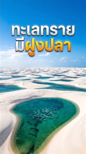 ทะเลทรายลวงตาที่มีฝูงปลา! 🏜️🐟