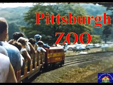 A ride on the PITTSBURGH ZOO TRAIN. Circa 1959