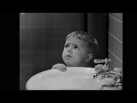 THE HEAD CLUCK.. ( THE LITTLE RASCALS )..