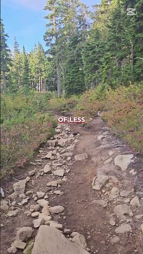 Hiking Paradise meadows at Strathcona Provincial Park BC Canada