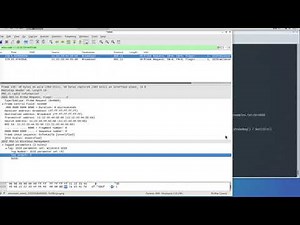wifi packet injection with scapy and kali linux
