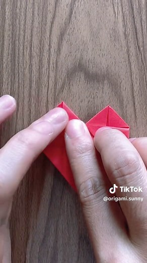 Origami SUNNY trên TikTok