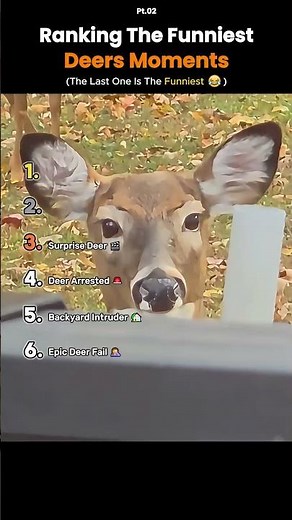 Ranking the Funniest Deer Moments 🦌😂 #funny #epicfails #comedy