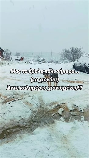 Μας το έβαλε πάλι σήμερα... (το χιονάκι) Άντε καλημέρες χιονισμένες!!! #farmlife #mountain #snow #fy #village