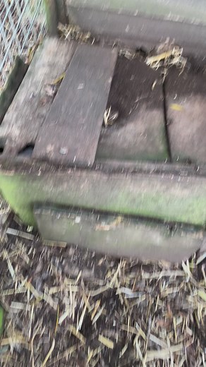 Yorkshire Rat Pack on Reels