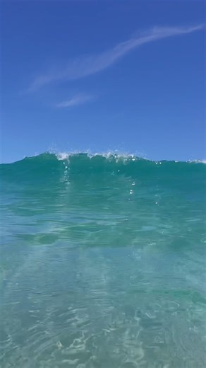白浜大浜海水浴場の水中動画 水中はスローモーションになってます🌊 #shorts #白浜 #下田