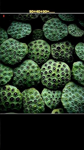 How Amazing Things Look Like Under A Microscope 🤢