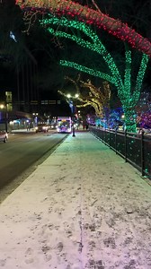 37K views · 167 reactions | Is there anything more festive than Santa’s Bus driving by City Hall Park? We don’t think so! The crowds Downtown loved Santa and he and Mrs. Claus were delighted to see so many smiling faces! One more drive north on Gaetz Ave before they head back to the North Pole. #rdlights | The City of Red Deer | Facebook