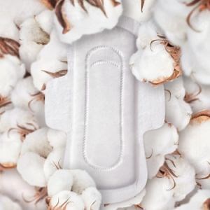 [Hot Item] New Biodegradable Sanitary Napkin Environmental-Friendly Lady Pads for Canada European