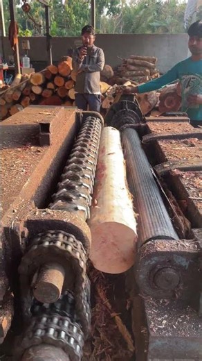 Smooth tree skin removal machine 🪵👌|#plywood #woodwork #peeling