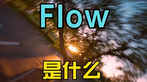 FPV中的 Flow 是什什么