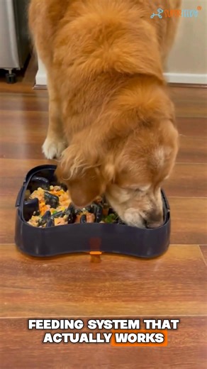 Every meal feels like the same nightmare.�Your dog attacks their food...