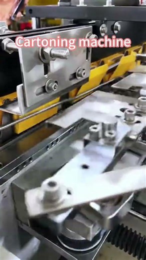 Cartoning Machine | Automatic Carton Packaging Solution