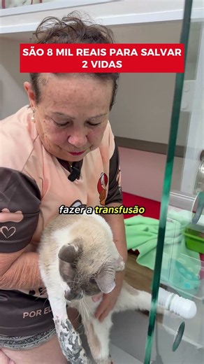 Toda ajuda chega até eles ❤️🐾 #voaurea