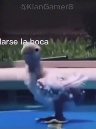 Flotation Device (Reupload) #memes #funny #shorts