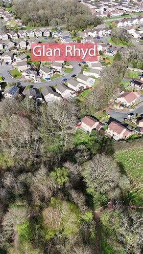 Henllys Local Nature Reserve in Cwmbran from a drone