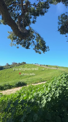 Exploring Eucalyptus Trail in Chino Hills