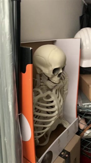 redsparrow (@redsparrow1111)’s videos with Talkin' Bout a Revolution - Tracy Chapman