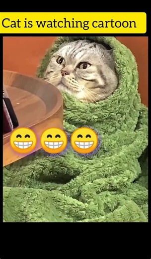 Cat is watching cartoon 🐱 #shorts #cute #cat #funny