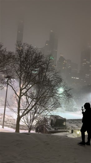 Footsteps soften, the city hushes, and Central Park becomes a winter dreamscape.❄️⛄️🗽🤍 #NewYorkWinter #SnowyNYC #usa #nyc #fyp