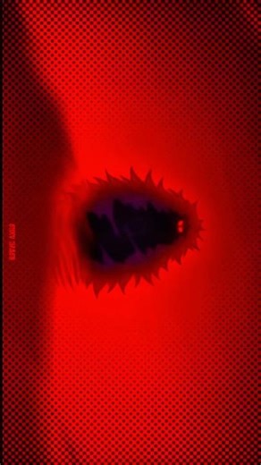 DONQUIXOTE DOFLAMING 🔥 4k edit Doofy story || Mingo [AMV/4k] #doflamingo #anime