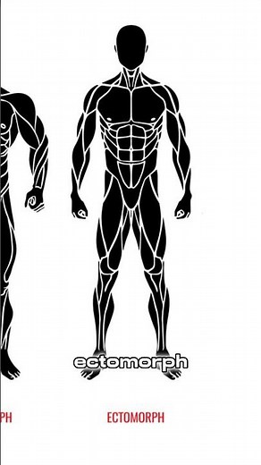 Ectomorph Training Tutorial #bodybuilding #ectomorph