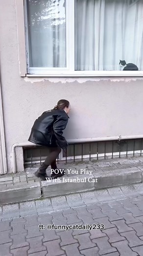 1.1M views · 10K reactions | Cat playing hide and seek with its owner  ‎#PoolPanic #stickeralbum #newmember #psychologicalthriller #bookdiscussion #photocontest #communityvotes #CommunityVote #CommunityAlert #groupdiscussion | Thamuz | Facebook