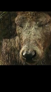 Best Movie King Kong #films #actionmovie #movie #movieclips | Griezo Gaming