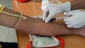 Nurses use a needle to draw blood for medical examinations.