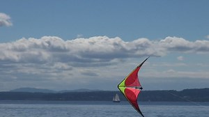 Watch Prism Kite Technology Nexus 2.0 Dual-line Stunt Kite on Amazon Live