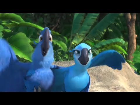 Rio - Meet Nico & Pedro