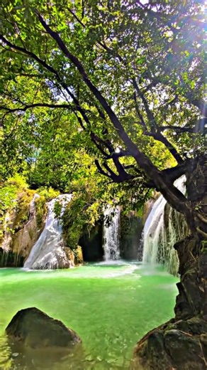 PACITAN PARADISE OF JAVA on Instagram: "Jatuh cinta pada Grojogan Dhuwur di Pringkuku, Pacitan. Air terjun yang tidak terlalu tinggi, dengan kolam biru kehijauan yang jernih, sempurna buat berenang dan foto. Udara segar, pemandangan asri, dan suara gemuruh airnya bikin lupa stres. ✨ ======= 📍Grojogan Dhuwur, Pringkuku, Pacitan. ===== #GrojoganDhuwurPacitan #pacitan #pacitanparadiseofjava #wisatajawatimur #fyp #viral #pesonaindonesia #wonderfulindonesia Sc📸: di dalam video. === Support us: Face
