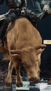 250K views · 8.2K reactions | NO. 1 FOR A REASON  | PBR | Facebook