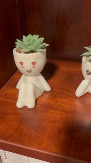 Watch Cute Office Decor on Amazon Live