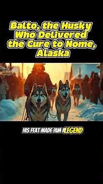 🔴BALTO: THE SNOW HERO - THE TRUE STORY