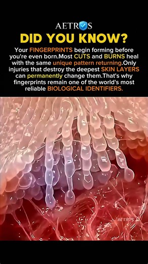Why Fingerprints Never Change #history #facts