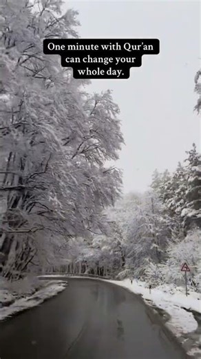 Surat Al-Ikhlas 🌙 | Soothing Quran Recitation #ikhlas #quran #peace