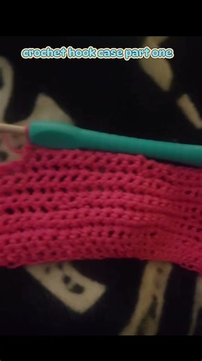 making a hook case 1#project #crochet #hobbiiyarn #crochetaddiction #youtubeshorts #crocheter