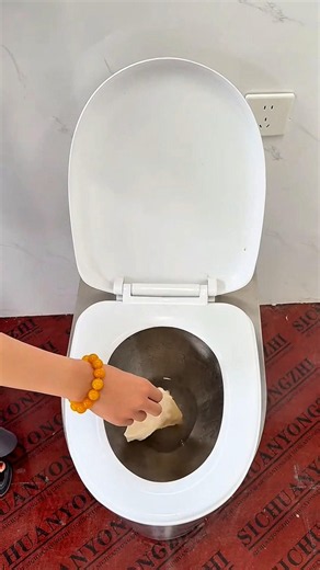 This Hidden Toilet Feature Is Absolutely Insane