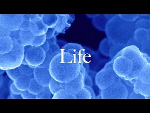 1.1 Deconversion: The God Concept