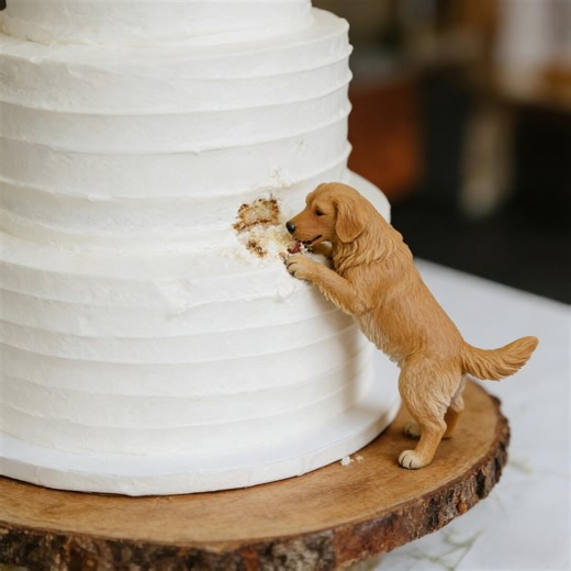 Custom Polymer Clay Pet Cake Toppers – Dog, Cat, Anniversary Pets (hand-sculpted) - Etsy