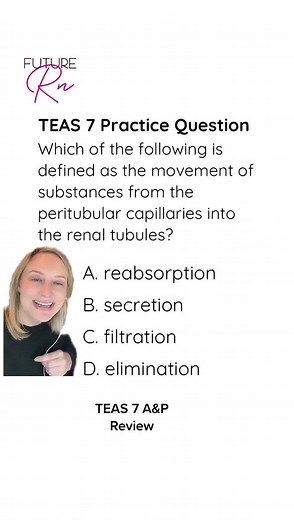 Understanding Urine Formation: Key Processes in the Urinary System