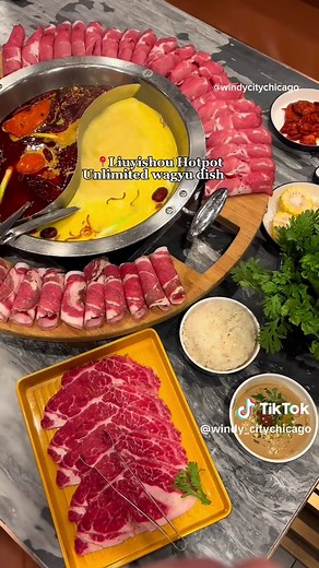 windy_citychicago on TikTok