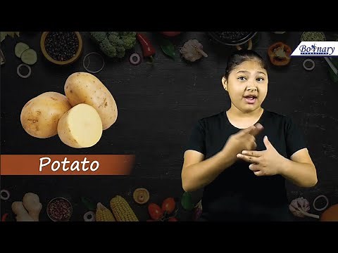 Vegetables name in Indian Sign Language | kids Learning | Boonary Foundation.