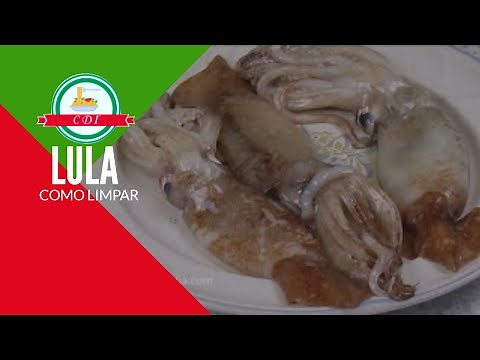 Como limpar lula + dicas de cozimento - Culinária direto da Itália