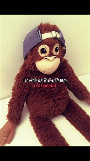 Báñate: El Viral Monito y Su Humor de Baño